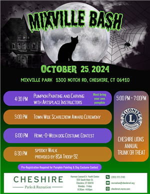 image of flyer with spooky scene as background. spooky scene is black and white with a large full moon in the center, a black cat in the foreground, a haunted house to the left and a giant spider web with spider to the right. Text includes: Mixville Bash,